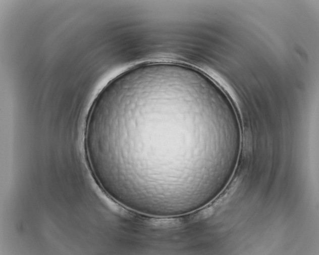 X0000112111437200908181338