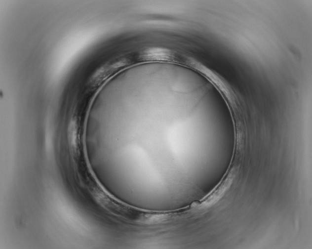 X0000112111438200908181338