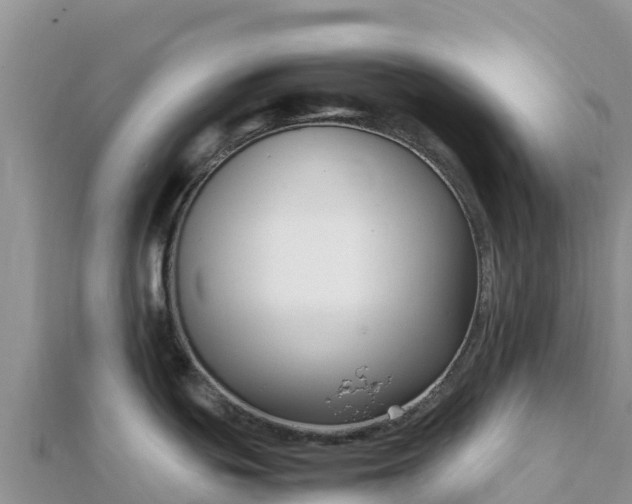 X0000112111439200908181338