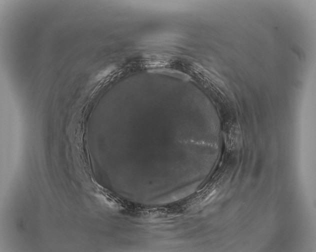 X0000112111441200908181337