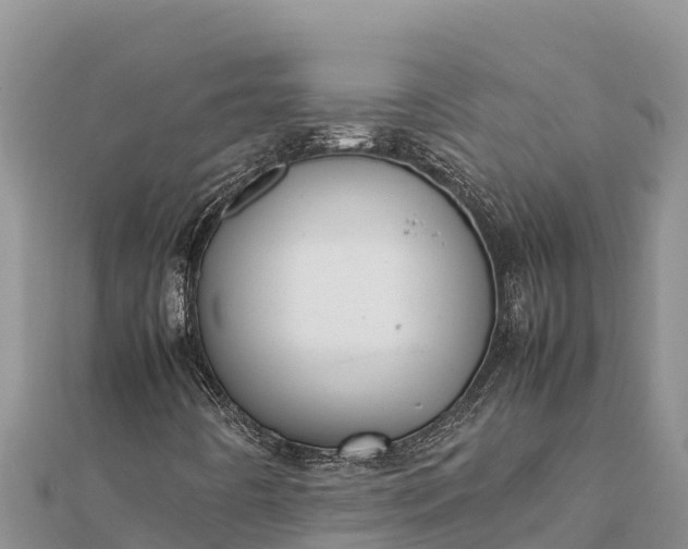 X0000112111442200908181337