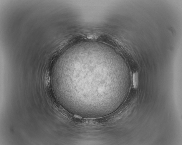 X0000112111443200908181337