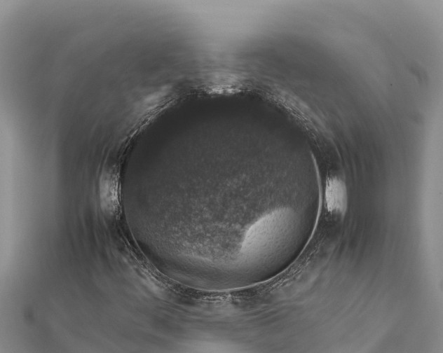 X0000112111444200908181337