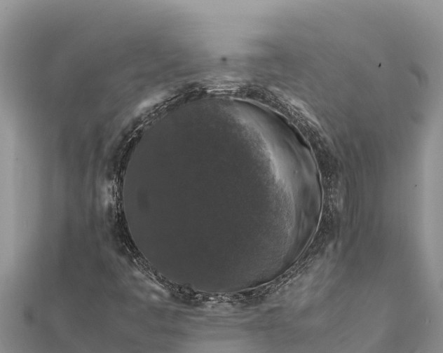 X0000112111445200908181337