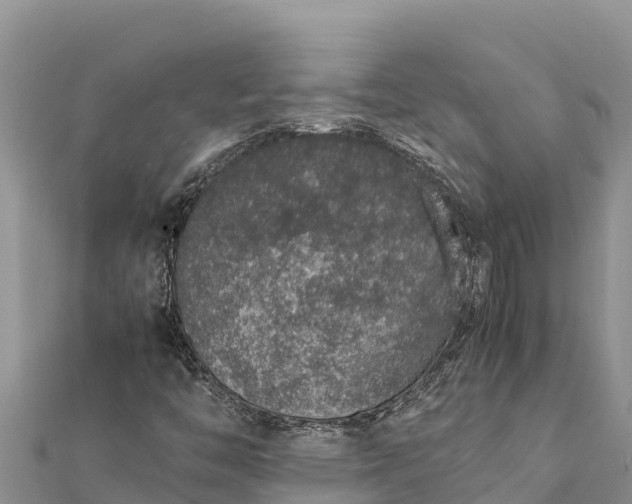 X0000112111446200908181337