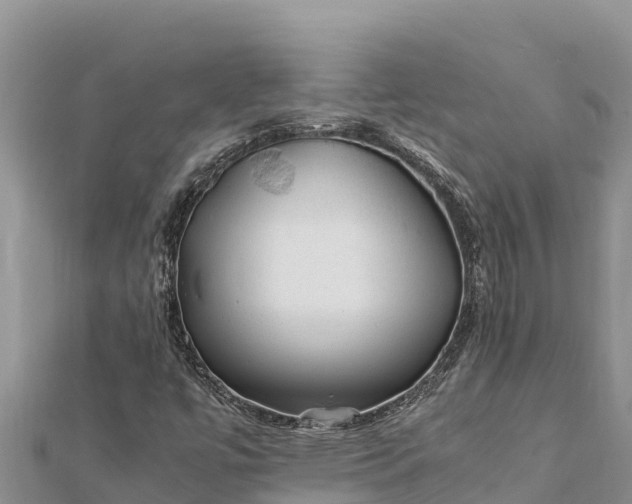 X0000112111447200908181337