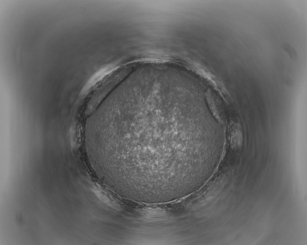 X0000112111448200908181337