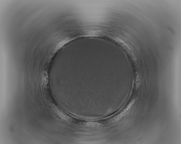 X0000112111449200908181337