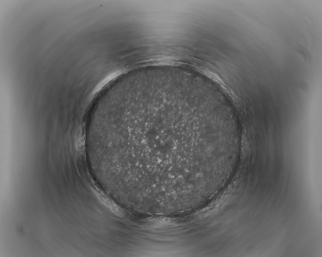 X0000112111450200908181337