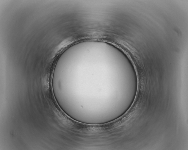 X0000112111451200908181337