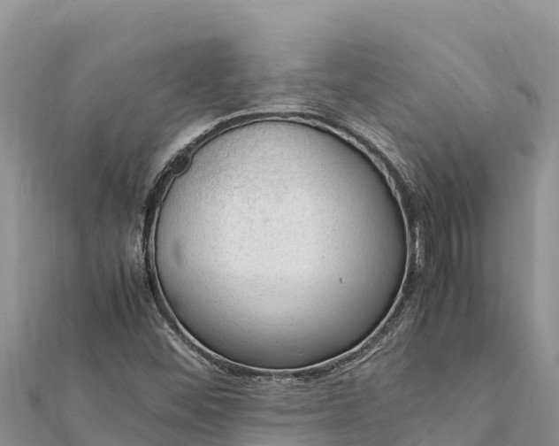 X0000112111452200908181337