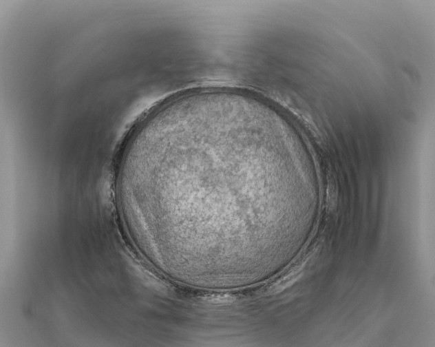 X0000112111454200908181337