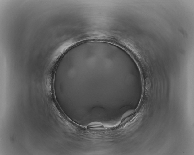 X0000112111455200908181337