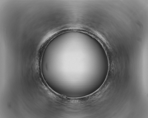 X0000112111456200908181337