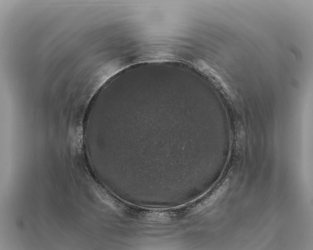 X0000112111457200908181337