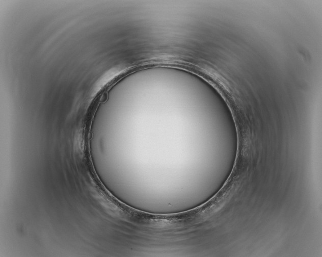 X0000112111458200908181337