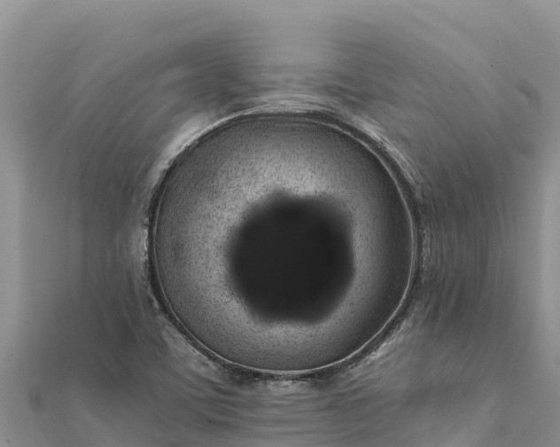 X0000112111459200908181337