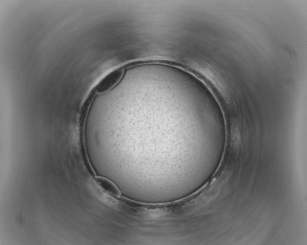 X0000112111460200908181337