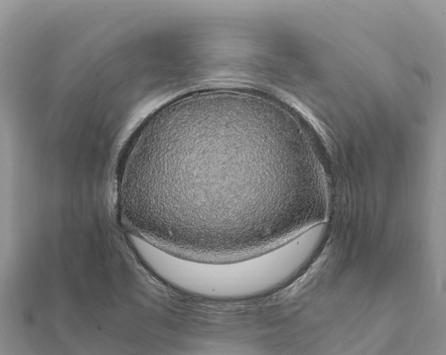 X0000112111461200908181337