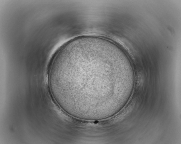 X0000112111462200908181337