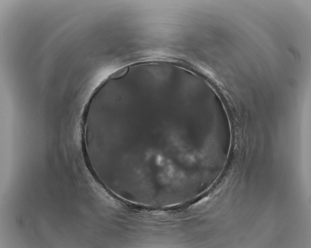 X0000112111463200908181337