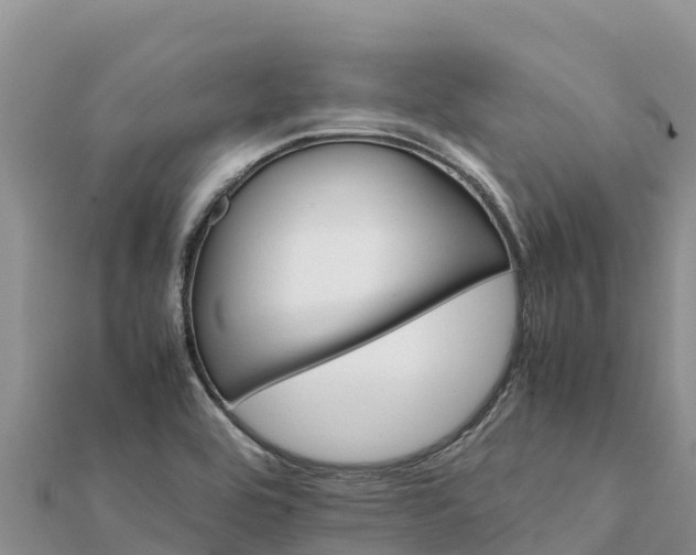 X0000112111464200908181337