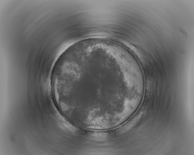 X0000112111466200908181337