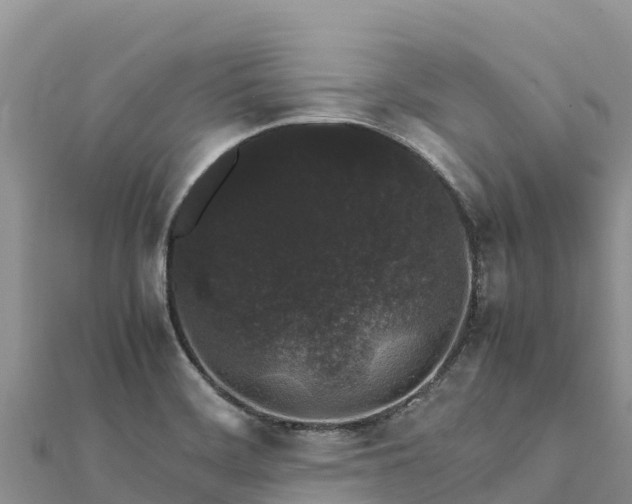 X0000112111468200908181337