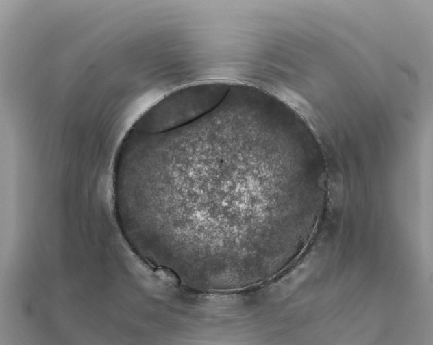 X0000112111469200908181337