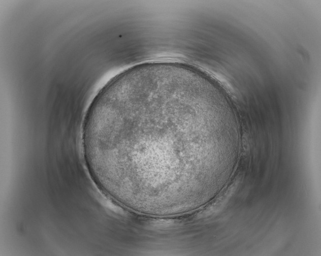 X0000112111470200908181337