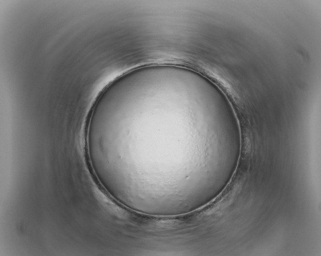 X0000112111471200908181337