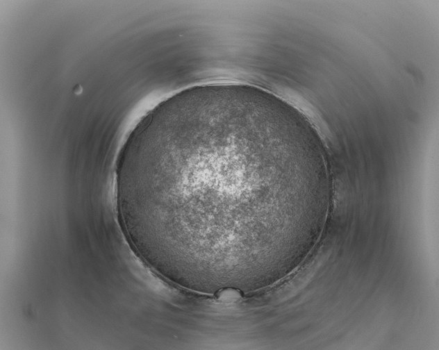 X0000112111472200908181337