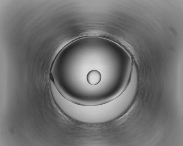 X0000112111473200908181337