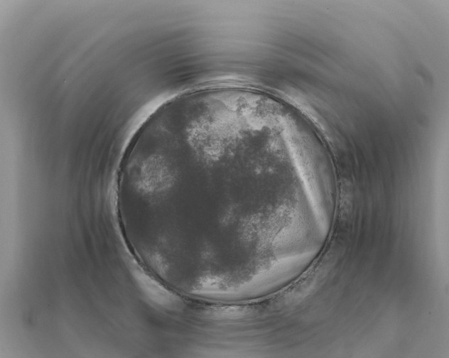 X0000112111474200908181337