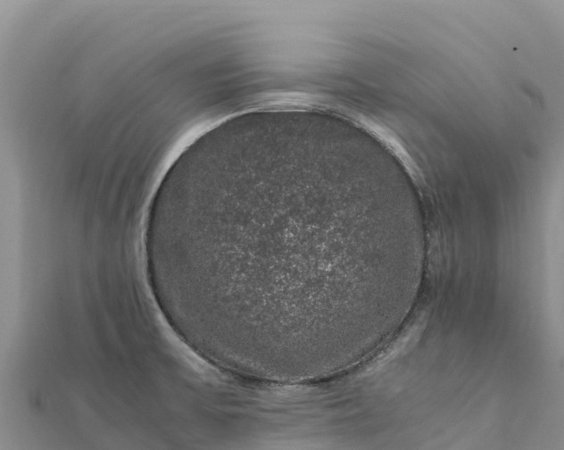 X0000112111475200908181337