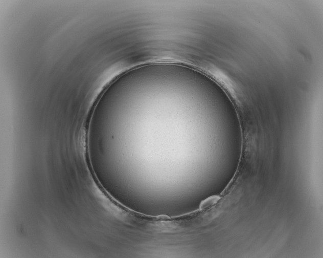 X0000112111476200908181337