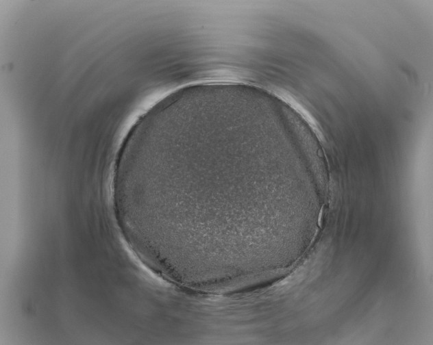 X0000112111477200908181337