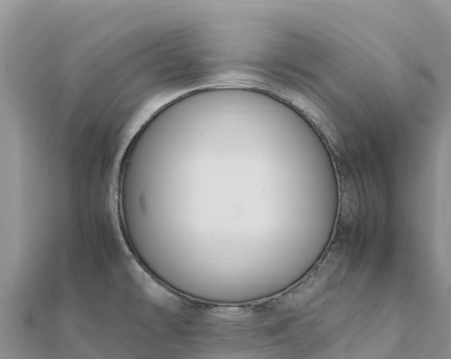 X0000112111478200908181337