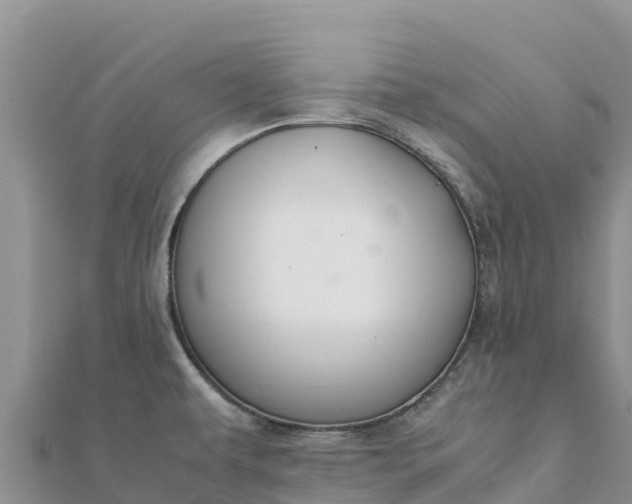 X0000112111479200908181337