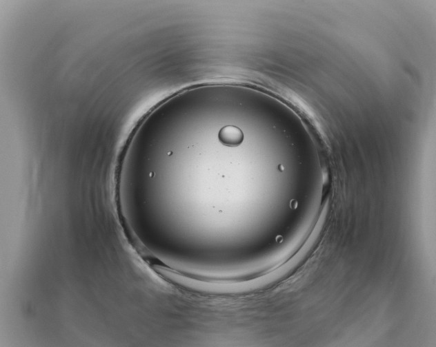 X0000112111480200908181337