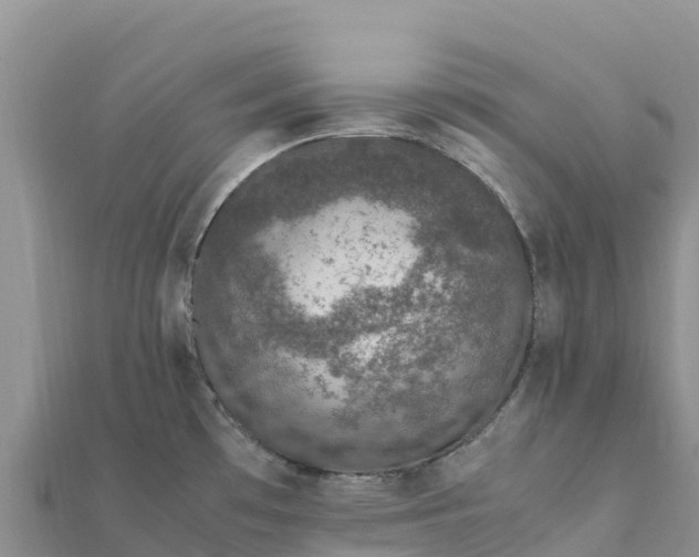 X0000112111481200908181337