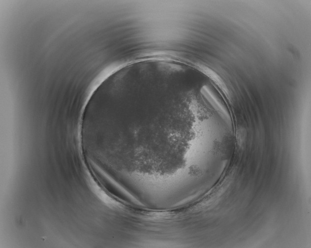 X0000112111482200908181337