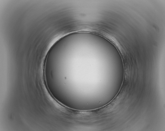 X0000112111483200908181337