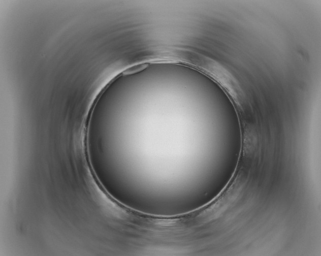 X0000112111484200908181337