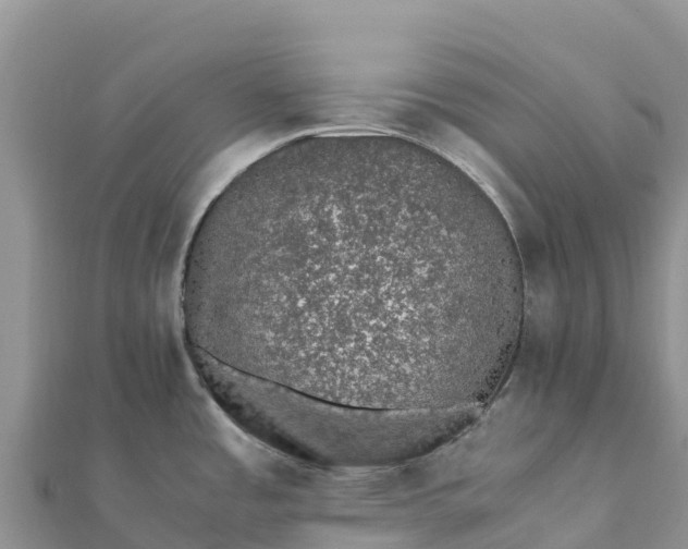 X0000112111485200908181337