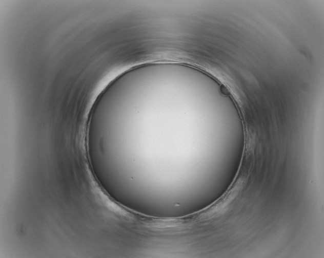 X0000112111486200908181337