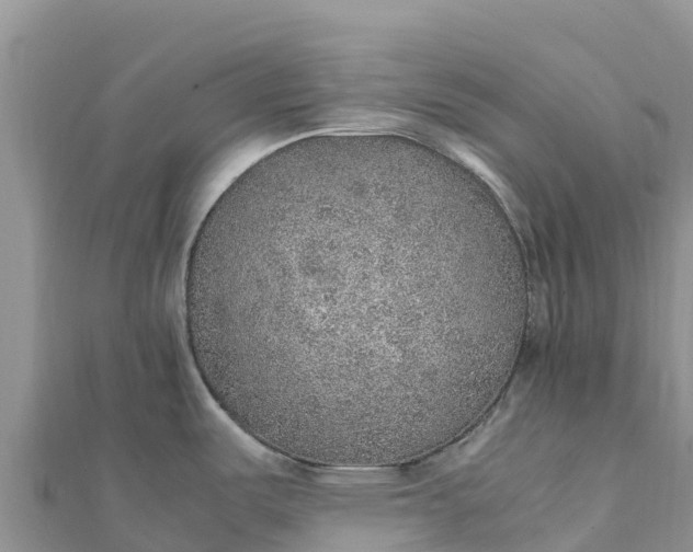 X0000112111487200908181336