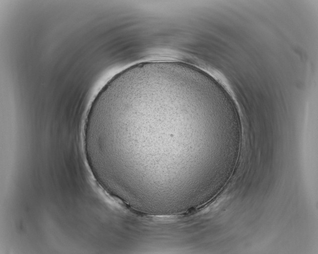 X0000112111488200908181336