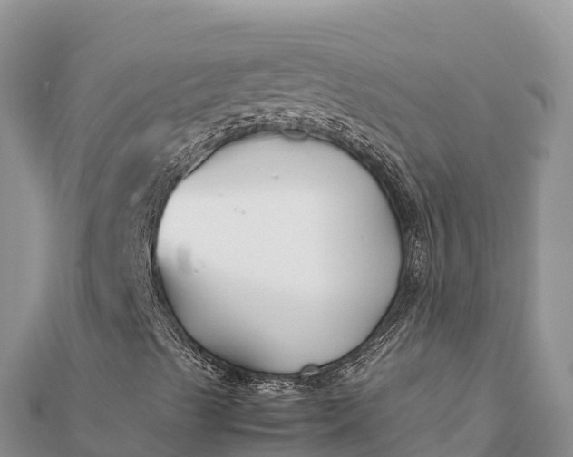 X0000112111489200908181336