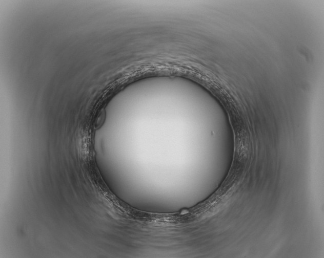 X0000112111490200908181336